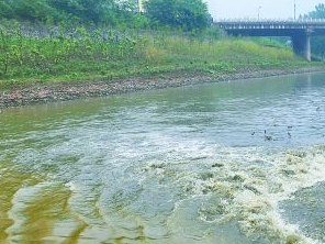 保定博野污水清运多少钱